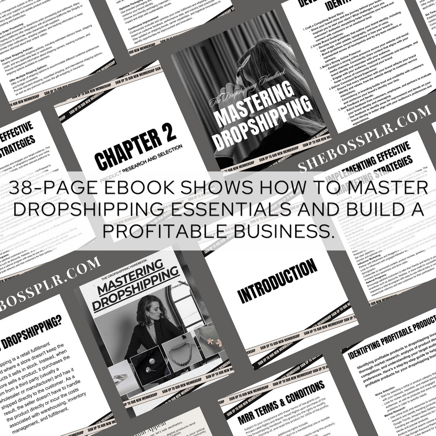 Ultimate Dropshipping guide | MRR PLR