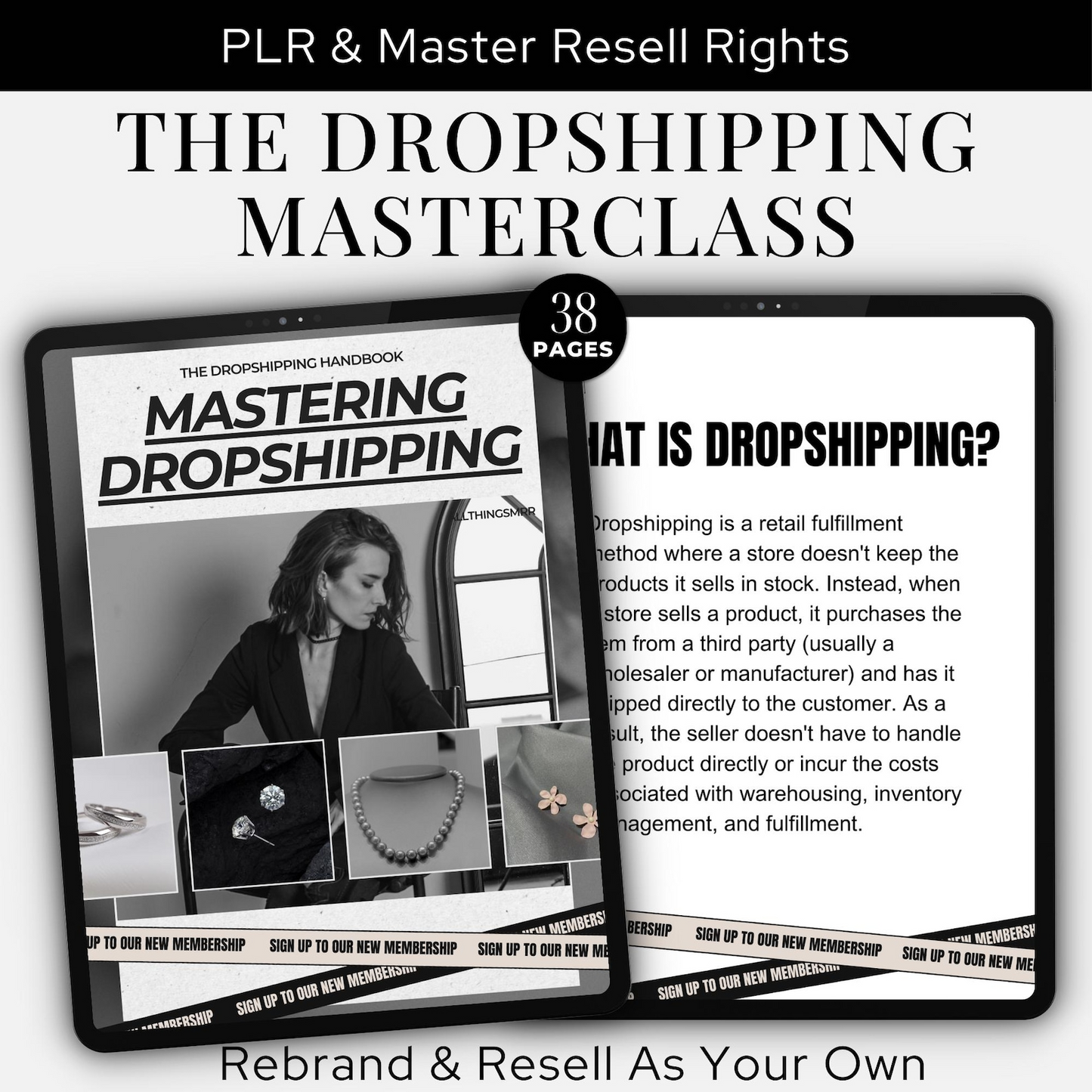 Ultimate Dropshipping guide | MRR PLR